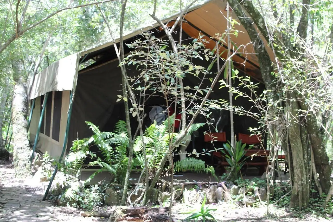 Mara River Camp (Kenya)